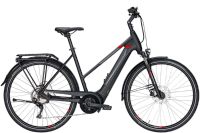 Pegasus Premio EVO 10 E-Bike Pedelec Elektrofahrräder E-Bike Niedersachsen - Garrel Vorschau