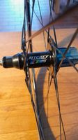 Ritchey WCS Hinterrad 28" Campagnolo Hochflansch Brandenburg - Trebbin Vorschau