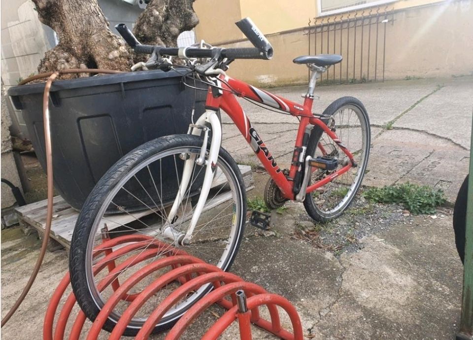 Fahrrad Mountainbike guter Zustand in Krostitz