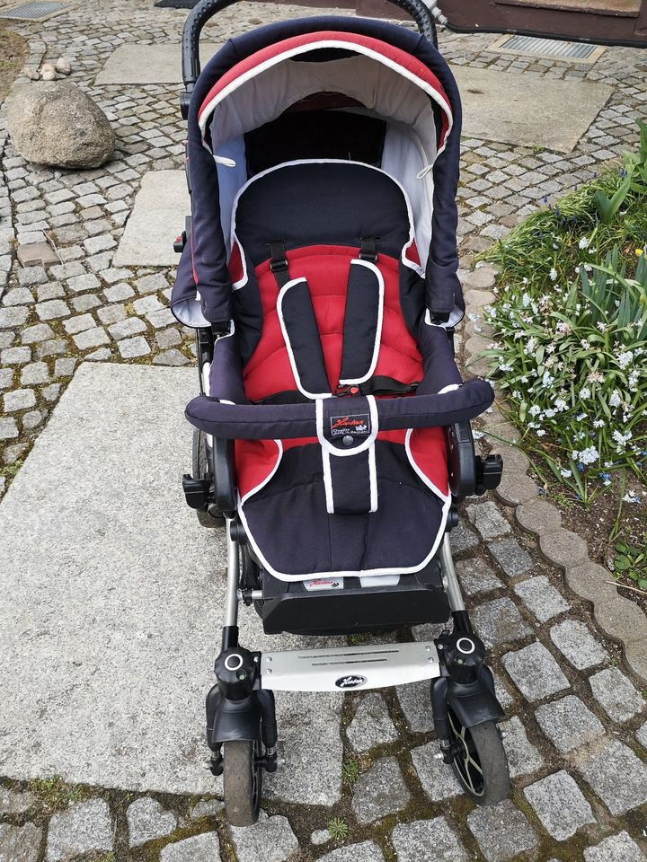 Hartan Kinderwagen mit vielen Funktionen in Teichland