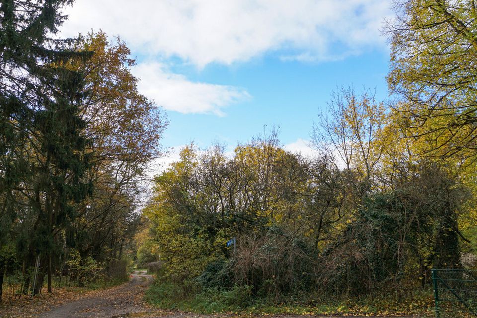 Erstbezug - Doppelhaushälfte im Grünen in Michendorf