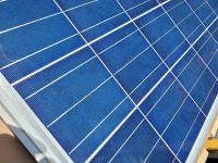 Trina Solarmodule 245 PC05  gebraucht Balkonsolar Photovoltaik Nordrhein-Westfalen - Neuss Vorschau