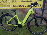 Neues E-Bike BBF Zürich Bosch Tiefeinsteiger 8 Gang vom Händler Sachsen-Anhalt - Kabelsketal Vorschau