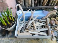 Treibholz Schwemmholz Driftwood Strandgut Schleswig-Holstein - Flensburg Vorschau