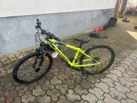 Rockrider Fahrrad Rheinland-Pfalz - Lingenfeld Vorschau