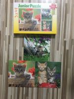 Katzenbaby Puzzle 3X 49 Teile ab 5 Jahren Königs Wusterhausen - Kablow Vorschau