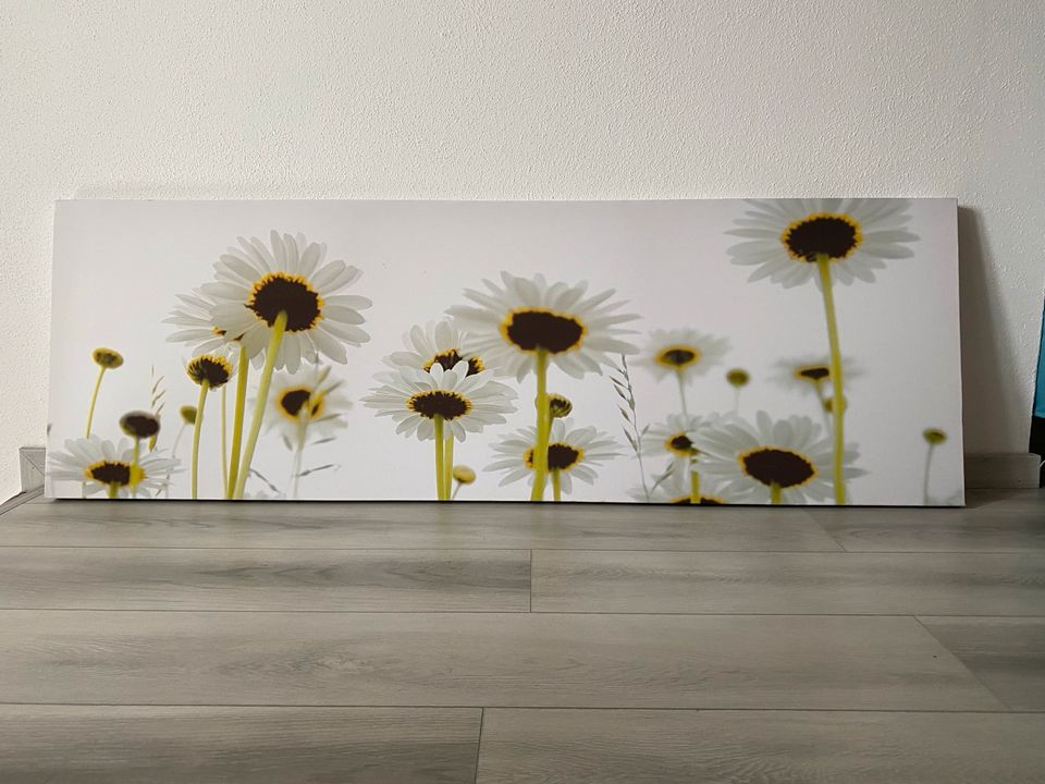 Bild Wandbild Leinwand 50x150 cm Blume Gerbera in Dresden