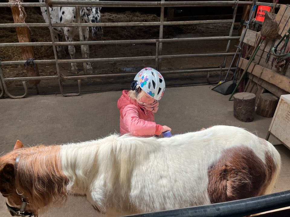 Ponykindergarten für Kinder ab 3 Jahre in Pfullendorf