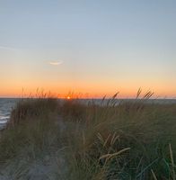 Wohnwagen Stellplatz an der Ostsee Darss Brandenburg - Eichwalde Vorschau