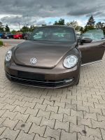Volkswagen Beetle/Käfer 1.2 TSI Exclusive Design BMT Bayern - Bamberg Vorschau