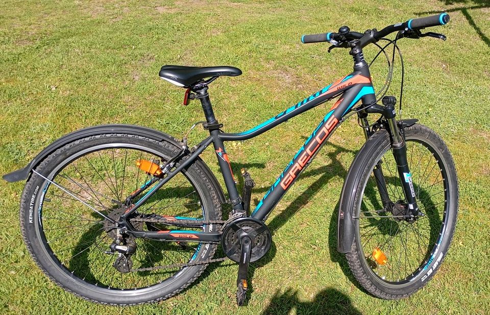 Mountainbike 27,5 Zoll in Salzhausen