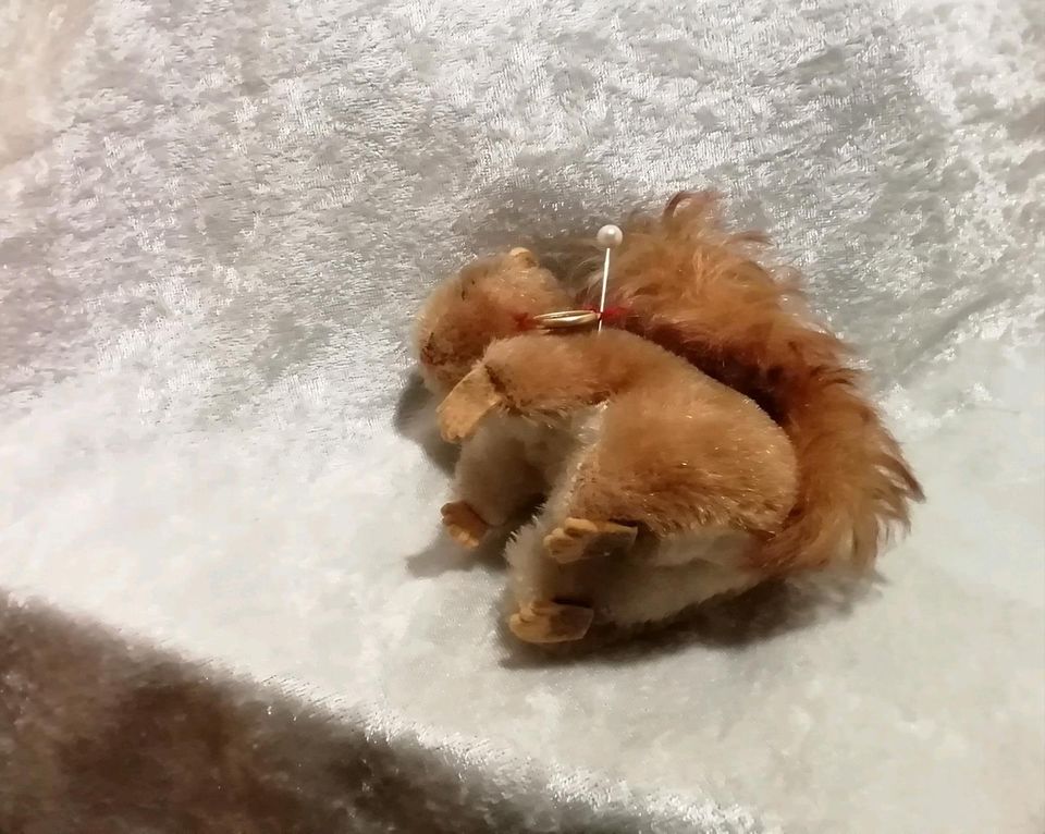 Eichhörnchen Original Steiff, Hermann Teddy je in Minden