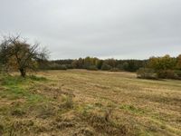 Zeit für Ruhe - 1h Wald.- Wiesengrundstück Stahnsdorf/Güterfelde Brandenburg - Stahnsdorf Vorschau