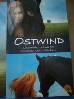 6 Ostwind Geschichten (5 Bücher) Findorff - Findorff-Bürgerweide Vorschau