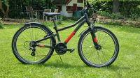 26er Mountain Bike mit Originalunterlagen Hessen - Bad Nauheim Vorschau