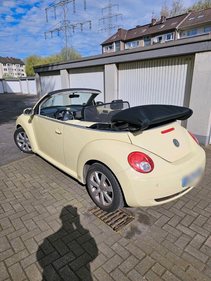 VW Beetle Cabrio in Duisburg