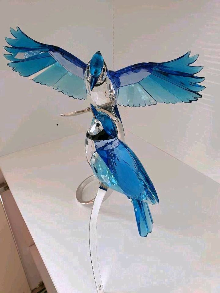 Swarovski Figur Blauhäher Vogel Kristallfigur Dekofigur Sammler in Hückelhoven