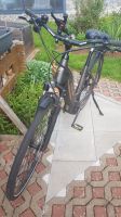 Fischer E-Bike 1030Km City Fahrrad Damen Cita 6.0i 28 Zoll Brotterode-Trusetal - Trusetal Vorschau