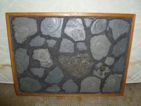 Muschelbild Muschelrahmen Muscheln Stein Beton Abdruck Designe Baden-Württemberg - Geislingen an der Steige Vorschau