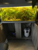 VB // EHEIM Aquarium 180L mit Unterschrank und mehr Nordrhein-Westfalen - Jüchen Vorschau