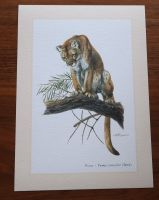 PUMA . Kunstdruck . Poster . Wandbild . Dekoration Schleswig-Holstein - Bad Oldesloe Vorschau