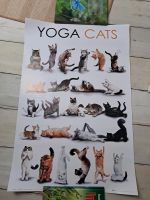Poster Katzen YOGA CATS Niedersachsen - Dorum Vorschau