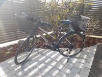 Damen Trekkingrad KTM Dynamics, 28 Zoll, 30 Gang Shimanoschaltung Bayern - Pfreimd Vorschau