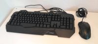 HAVIT Gaming Tastatur Maus schwarz Computer USB NEU OVP Niedersachsen - Wunstorf Vorschau