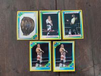 WWF / WWE - MERLIN Collections Sammelkarten 1993 Bayern - Wasserburg Vorschau