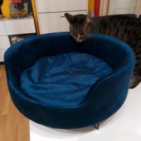 Katzen Sofa sehr guter zustand Blau samt Mitte - Tiergarten Vorschau
