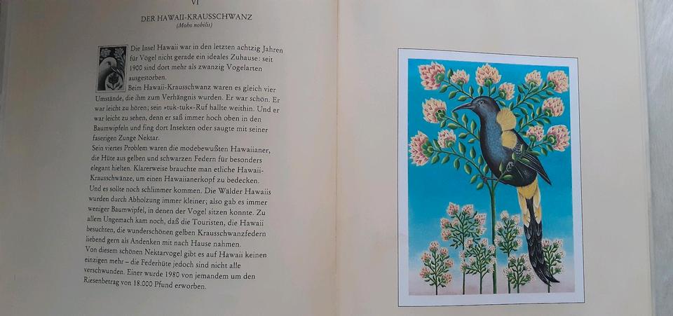 Vom Vogel Dodo Shawn Rice Antiquität Bilderbuch Annette Betz in Petting