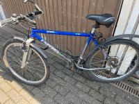 Fahrrad Univega Alpine Sport MTB 26 Zoll Wuppertal - Cronenberg Vorschau