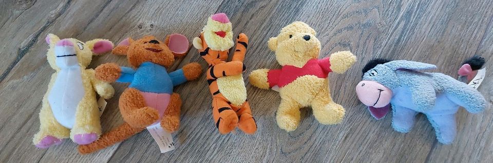 Fünf Winnie Pooh Stofftiere Sammelfiguren in Neumünster