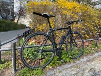 Drössinger Singlespeed Speedbike Carbongabel schwarz RH49 Berlin - Schöneberg Vorschau