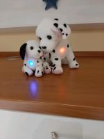 Kuscheltier Hunde mit leuchtendem Herz Bayern - Peißenberg Vorschau