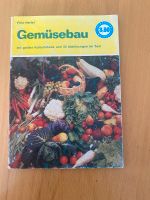 Gemüsebaus Hessen - Gudensberg Vorschau