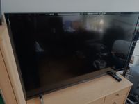 Medion 49 Zoll LCD-TV Leipzig - Sellerhausen-Stünz Vorschau