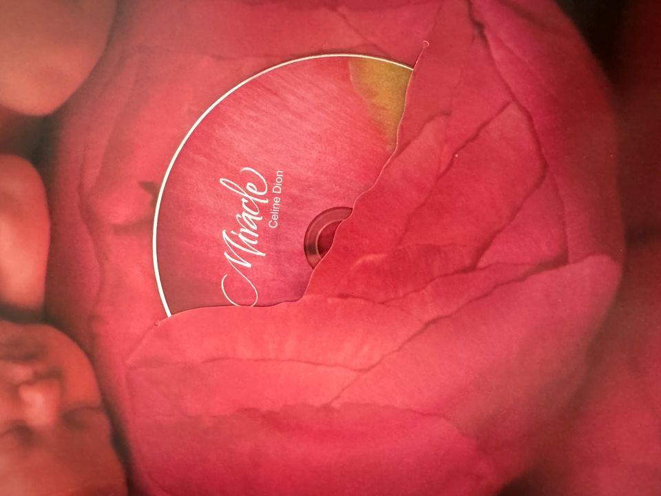 Bildband Celine Dion Audio-CD in Wertingen