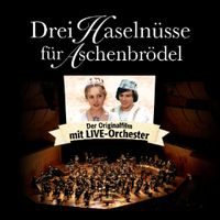 Karten unter OVP "Drei Haselnüsse für Aschenbrödel" am 8.12.24 Baden-Württemberg - Friedrichshafen Vorschau