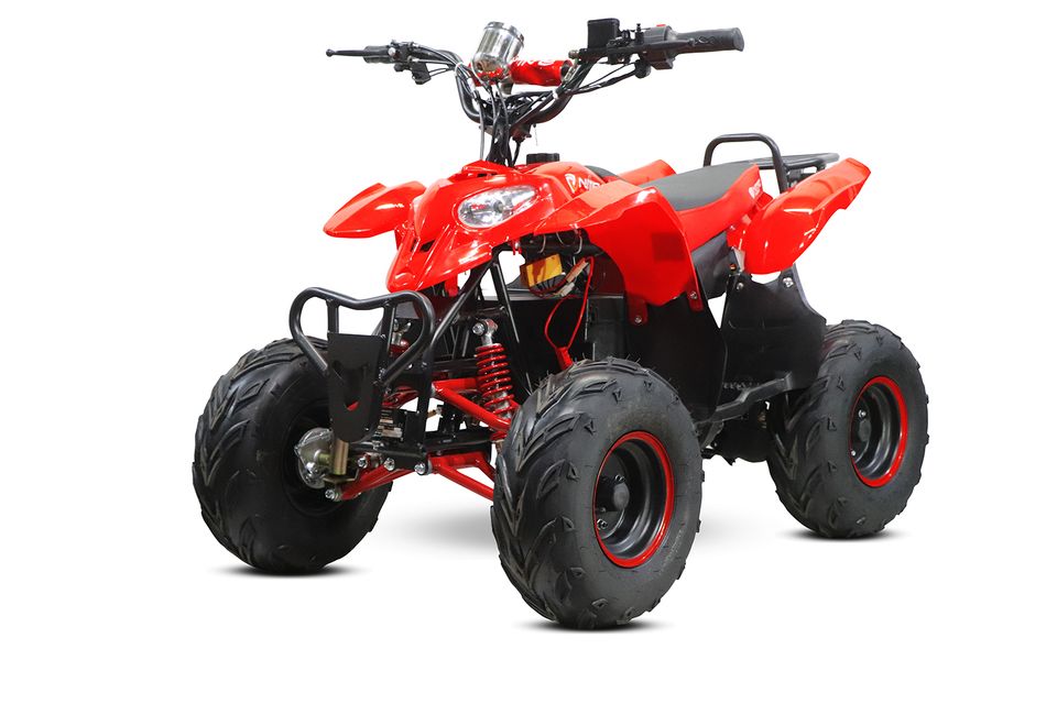 Eco Razer Midi Quad 800W 36V 6" ATV Kinder Quad Kinderfahrzeug in Gelsenkirchen