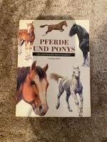Pferde und Ponys Buch Nordrhein-Westfalen - Moers Vorschau