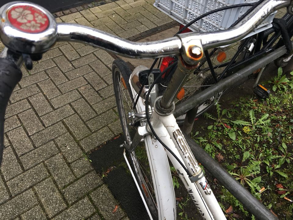 Fahrrad Damen 28 Zoll „Amsterdam“ in Bonn