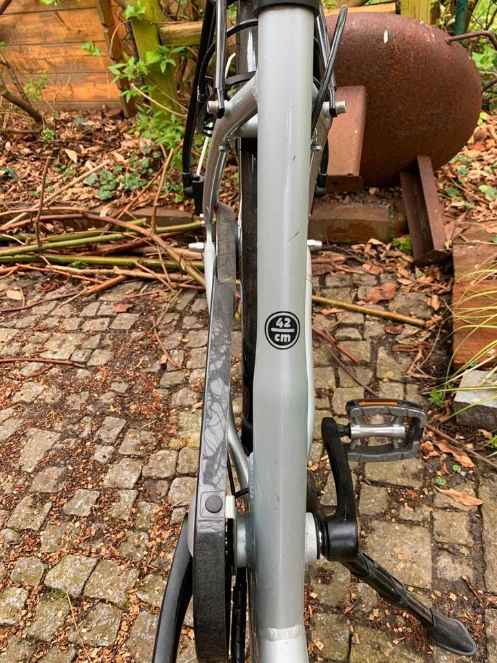 Seniorenfahrrad, E-Bike, tiefer Einstieg, mobiler Akku, 26 Zoll in Hamburg