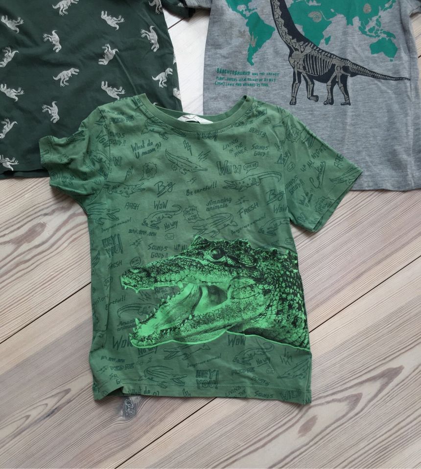 5x H&M T-Shirts Dino grau grün 110/116 in Wittstock/Dosse