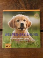 Welpen-Erziehung Welpenerziehung Junghundtraining Bielefeld - Senne Vorschau