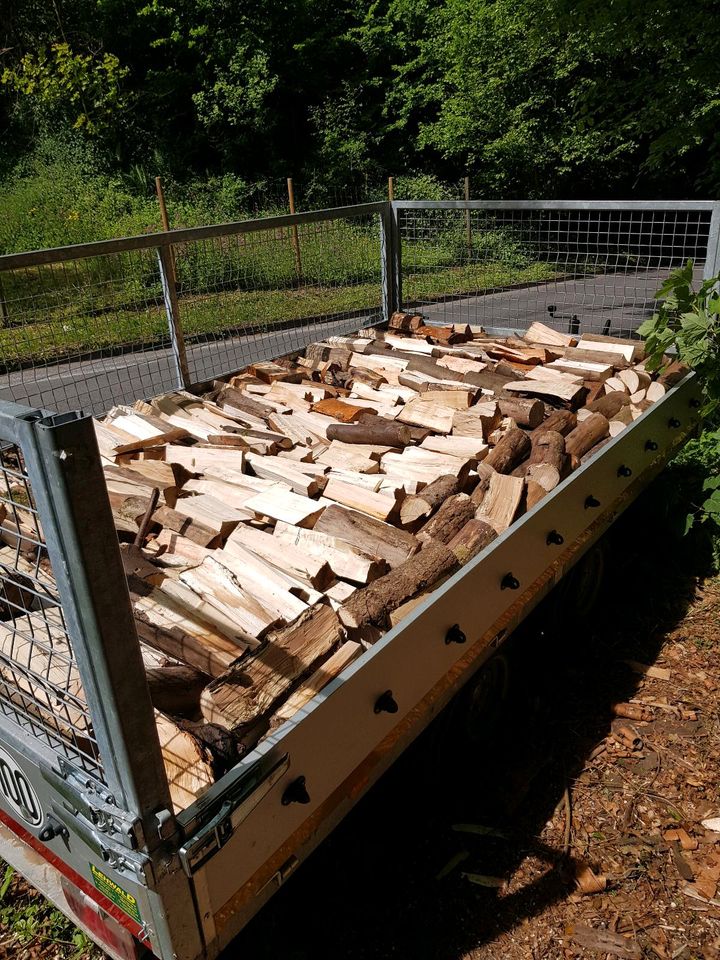 Laubholz Mix Brennholz Kaminholz in Leverkusen