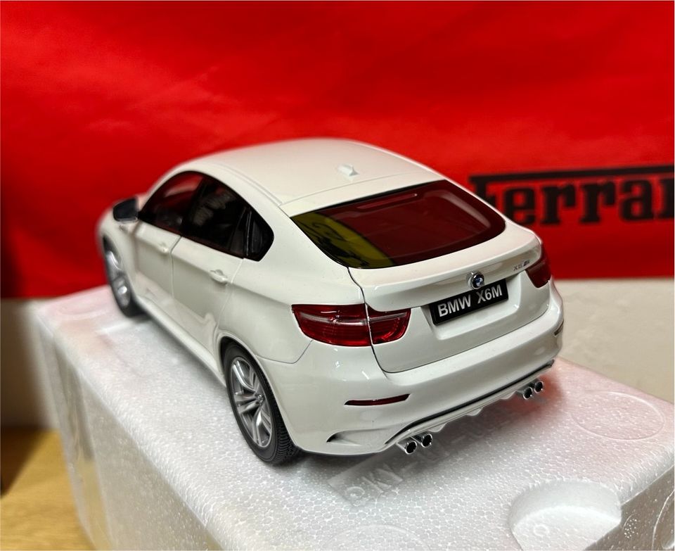 KYOSHO E71 BMW X6-M Alpine White 1:18 Modellauto in Nürnberg (Mittelfr)