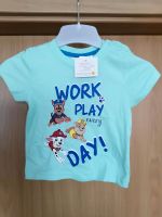 Shirt von Paw Patrol, ungetragen Dresden - Kleinzschachwitz Vorschau