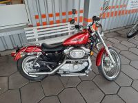 Harley-Davidson 883 sportster C53 Custom Nordrhein-Westfalen - Raesfeld Vorschau