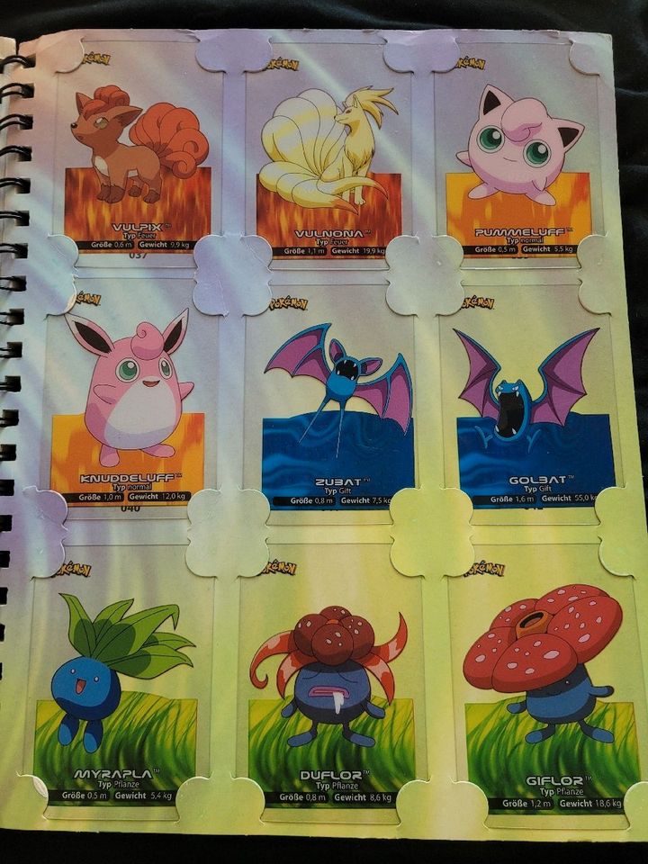 Pokemon Lamincards Collection 1 Generation in Potsdam